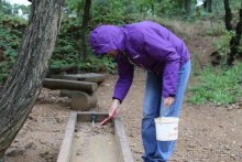 По пояс в небе: путешествие через 16 городов Австрии и Германии