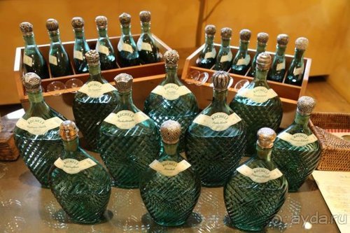 По пояс в небе: путешествие через 16 городов Австрии и Германии