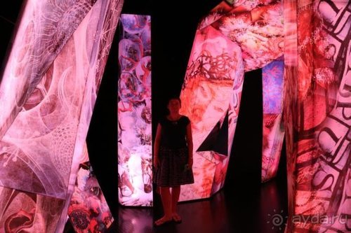 По пояс в небе: путешествие через 16 городов Австрии и Германии