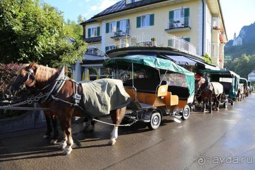По пояс в небе: путешествие через 16 городов Австрии и Германии