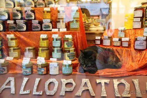 По пояс в небе: путешествие через 16 городов Австрии и Германии