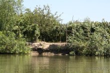 Хождение за пять морей