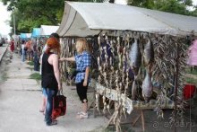 Хождение за пять морей