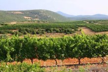 Хождение за пять морей