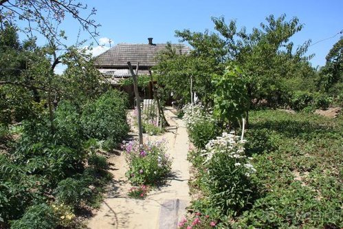 Хождение за пять морей