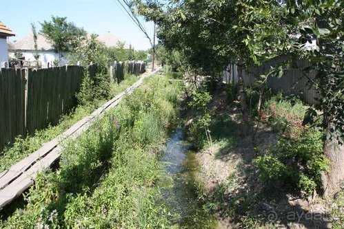 Хождение за пять морей