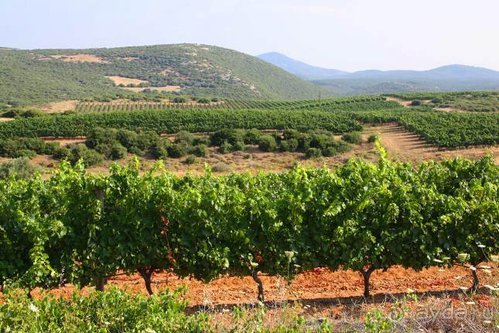 Хождение за пять морей