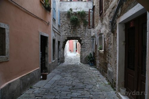 Драконы, замки и пещеры Западной Украины и Восточной Европы