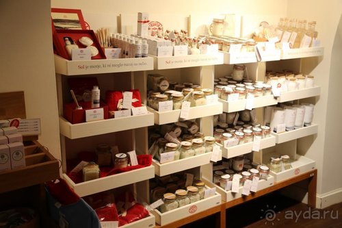 Драконы, замки и пещеры Западной Украины и Восточной Европы