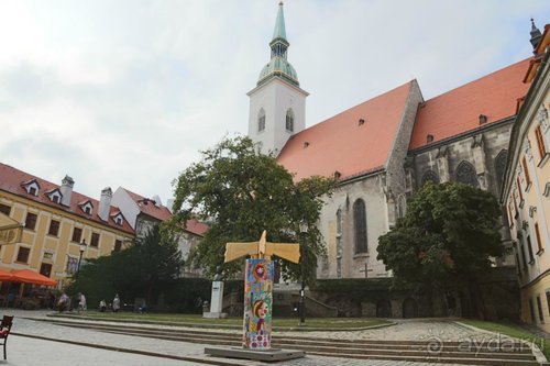 Драконы, замки и пещеры Западной Украины и Восточной Европы