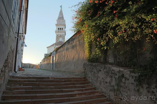 Драконы, замки и пещеры Западной Украины и Восточной Европы