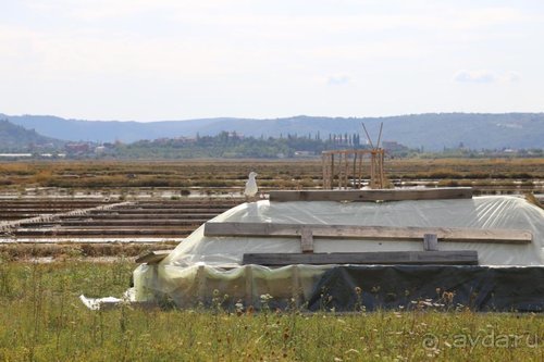 Драконы, замки и пещеры Западной Украины и Восточной Европы