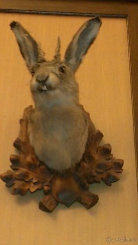 Драконы, замки и пещеры Западной Украины и Восточной Европы