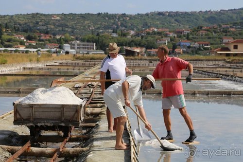 Драконы, замки и пещеры Западной Украины и Восточной Европы