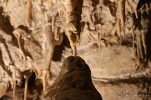 Драконы, замки и пещеры Западной Украины и Восточной Европы