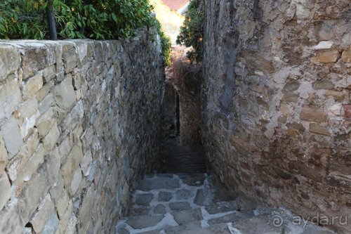 Драконы, замки и пещеры Западной Украины и Восточной Европы