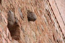 Альбом отзыва "Камбек СССР, или День Победы в Белоруссии"