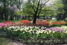 Камбек СССР, или День Победы в Белоруссии