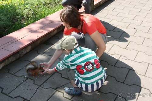 Камбек СССР, или День Победы в Белоруссии