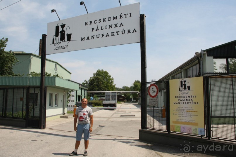 фото Кечкемета