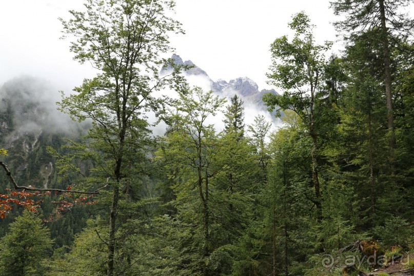 ущелье Vorderkaserklamm