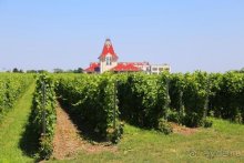 Грекомания