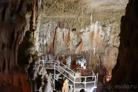 Грекомания