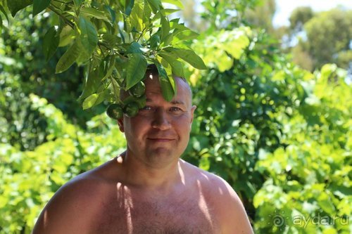 Грекомания