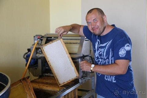 Грекомания