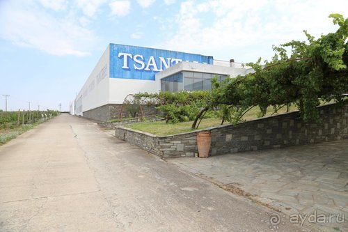 Грекомания