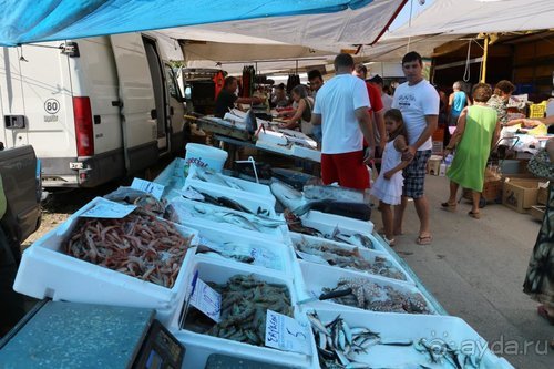 Грекомания