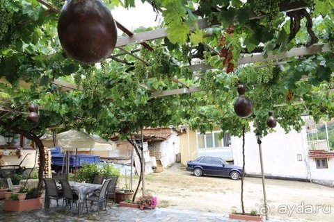 Грекомания