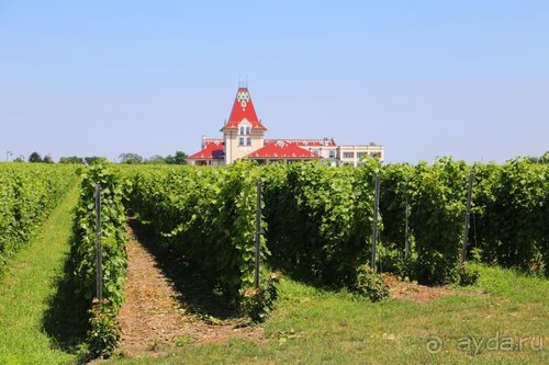 Грекомания