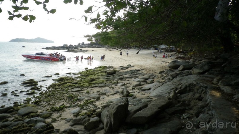 Общественный пляж