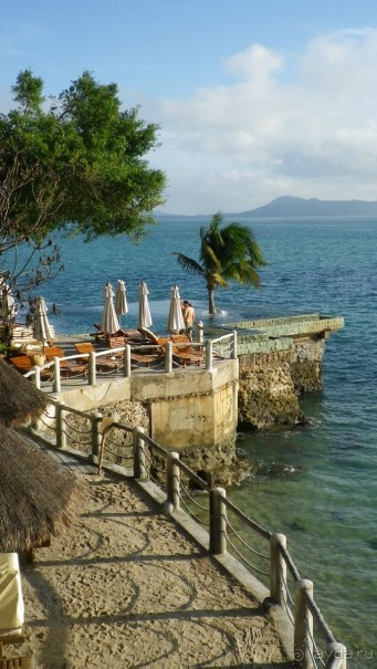 Медузы маленькие