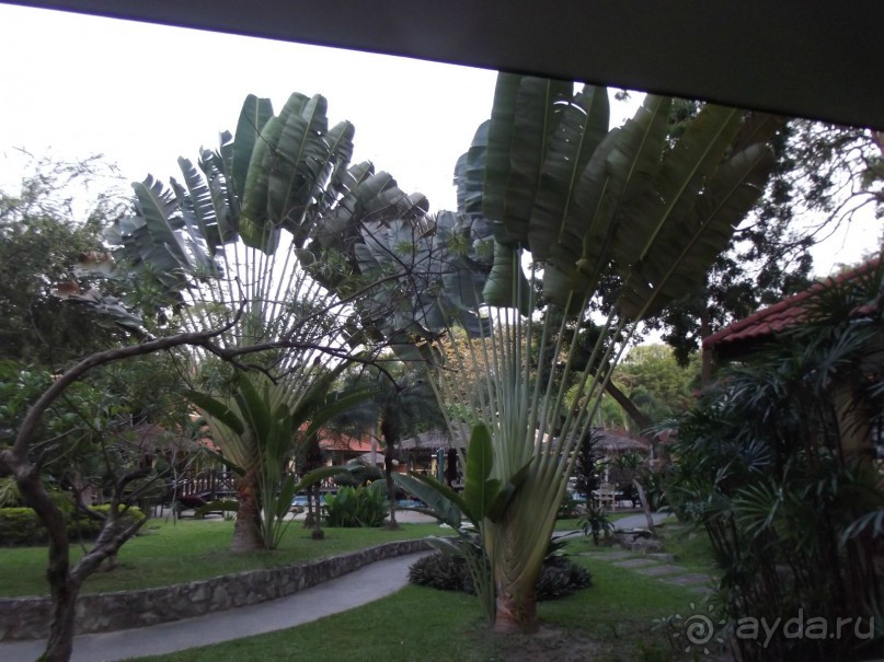 отель ист си резорт. Тайланд. Паттайя