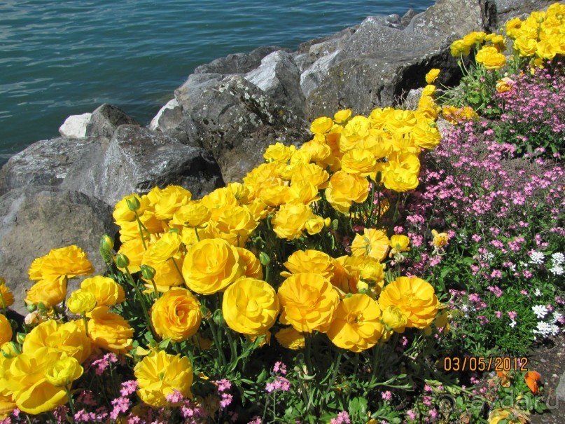 Германия-Швейцария