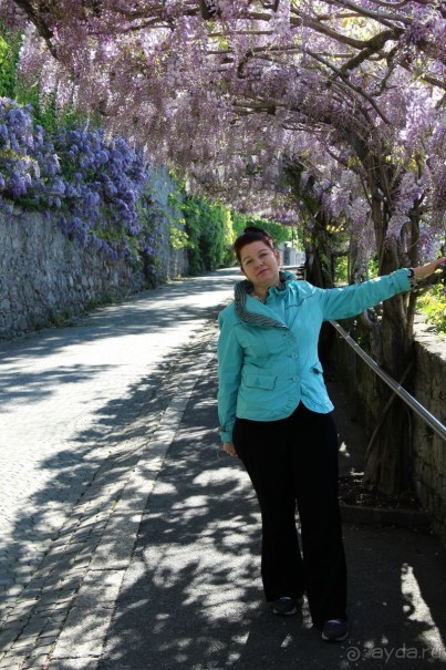 Германия-Швейцария