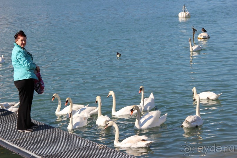 Германия-Швейцария
