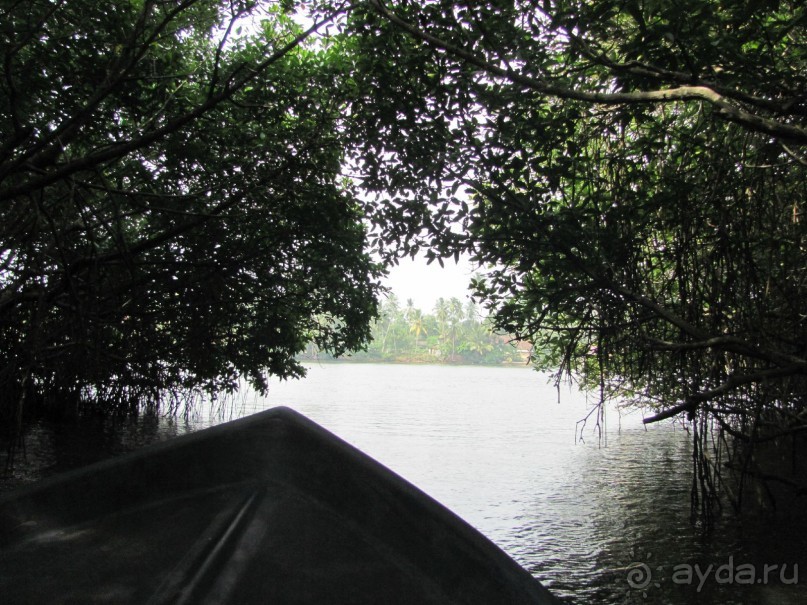 фото Вадуввы