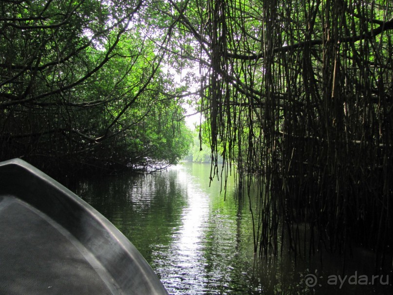 фото Вадуввы