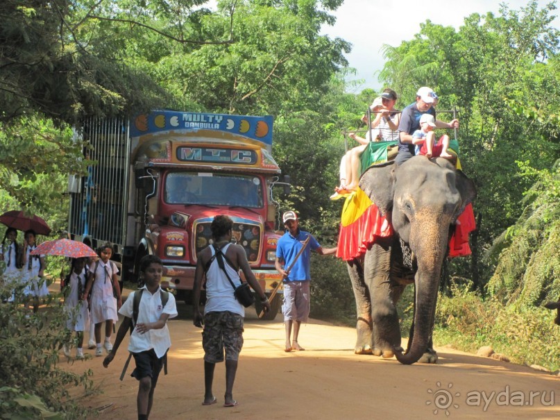  Неизвестная Шри-Ланка