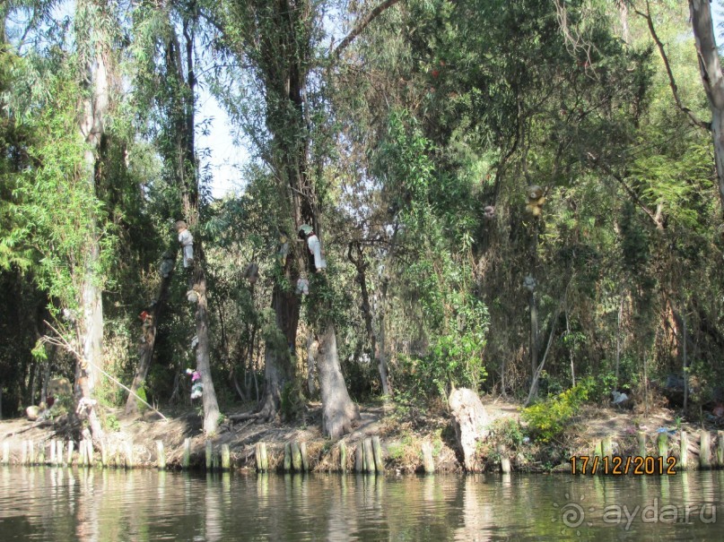 МЕХИКО. В гостях. Ч 1.