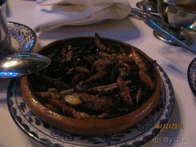 МЕХИКО. В гостях. Ч 1.