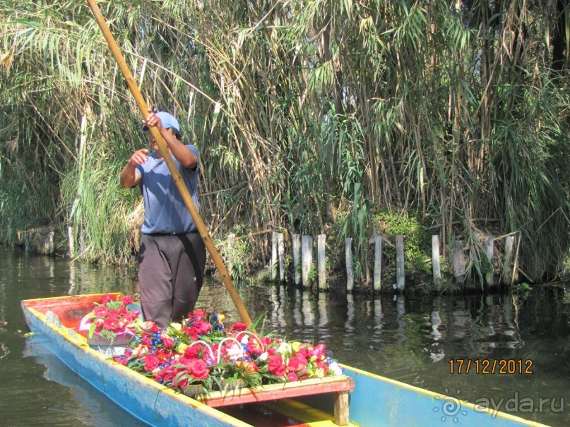 МЕХИКО. В гостях. Ч 1.