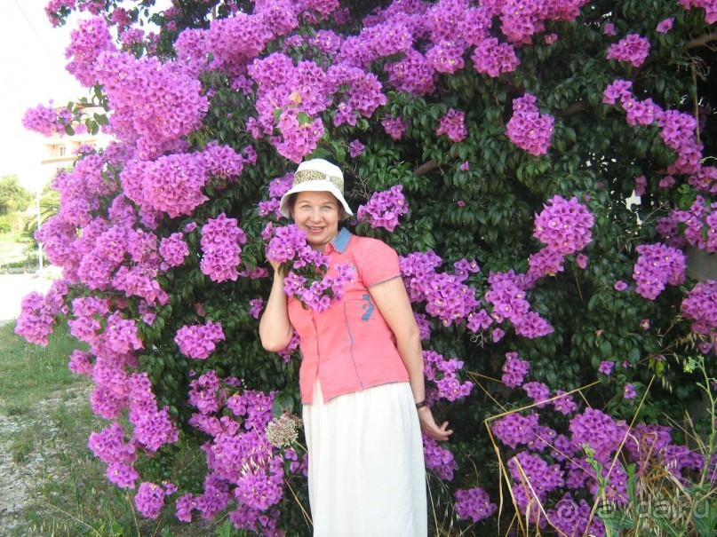 Очарование Далмации