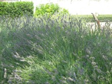 Очарование Далмации