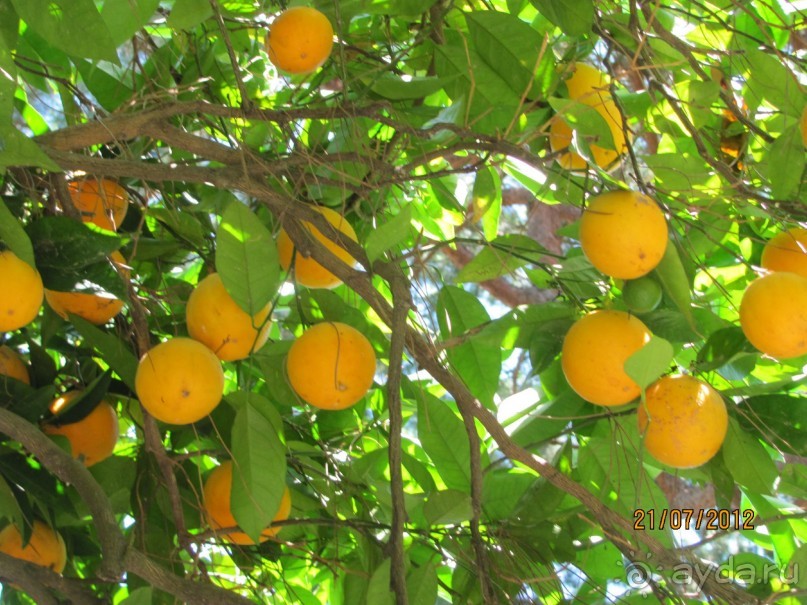 Италия с отдыхом на острове Искья