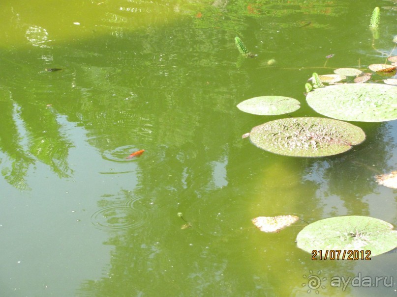 Италия с отдыхом на острове Искья