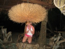 отель Викинг